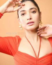 Tamanna Bhatia Sexy Pictures 19