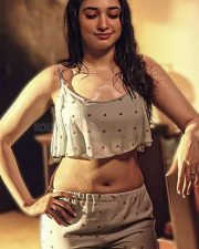 Tamanna Bhatia Sexy Pictures 28