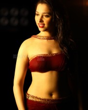 Tamanna Bhatia Sexy Pictures 37