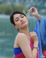 Tamanna Sexy Saree Pictures