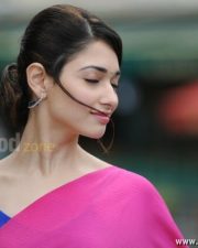 Tamanna Sexy Saree Pictures