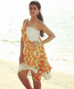 Tamil Actress Nikki Galrani Sexy Pictures