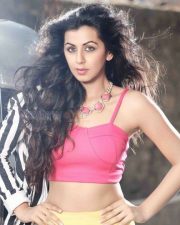 Tamil Actress Nikki Galrani Sexy Pictures