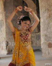 Tamil Actress Sunaina Photo Gallery