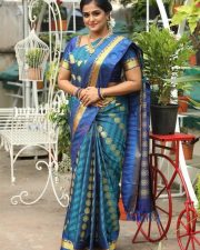 Tamilarasan Movie Heroine Ramya Nambeesan Traditional Saree Photos