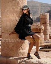 Telugu Actress Anushka Shetty Hot Stills