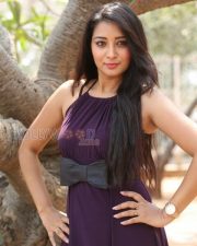 Telugu Actress Bhanu Sri Pictures
