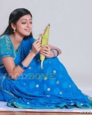 Telugu Actress Pranitha Sexy Stills