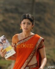 Telugu Actress Pranitha Sexy Stills