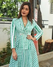 Telugu Actress Raashi Khanna Interview Pictures