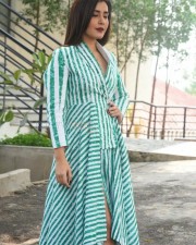 Telugu Actress Raashi Khanna Interview Pictures