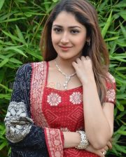 Telugu Actress Sayesha New Pictures
