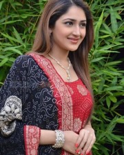 Telugu Actress Sayesha New Pictures