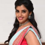 Telugu Anchor Shyamala at Gully Rowdy Movie Pre Release Event Pictures 02 Telugu Anchor Shyamala at Gully Rowdy Movie Pre Release Event Pictures 02