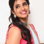 Telugu Anchor Shyamala at Gully Rowdy Movie Pre Release Event Pictures 11 Telugu Anchor Shyamala at Gully Rowdy Movie Pre Release Event Pictures 11