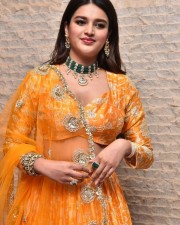 Telugu Heroine Nidhhi Agerwal Orange Photoshoot Pictures 01