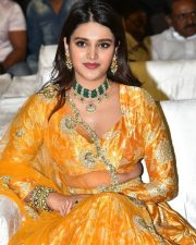 Telugu Heroine Nidhhi Agerwal Orange Photoshoot Pictures 06 Telugu Heroine Nidhhi Agerwal Orange Photoshoot Pictures 06