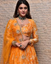 Telugu Heroine Nidhhi Agerwal Orange Photoshoot Pictures 11 Telugu Heroine Nidhhi Agerwal Orange Photoshoot Pictures 11