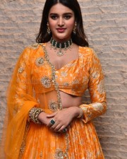 Telugu Heroine Nidhhi Agerwal Orange Photoshoot Pictures 12