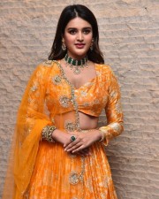 Telugu Heroine Nidhhi Agerwal Orange Photoshoot Pictures 13