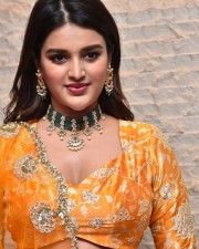 Telugu Heroine Nidhhi Agerwal Orange Photoshoot Pictures 15