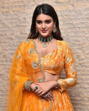 Telugu Heroine Nidhhi Agerwal Orange Photoshoot Pictures 16