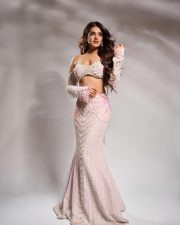 Tempting Nidhhi Agerwal in a Light Pink Lehenga with a Bustier Style Off Shoulder Top with Matching Mermaid Skirt Photos 05