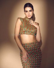 Tere Ishk Mein Actress Kriti Sanon in a High Neck Sleeveless Jewelled Crop Top with a Matching Floor Length Column Skirt Photos 05