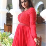 Remya Nambeesan 20