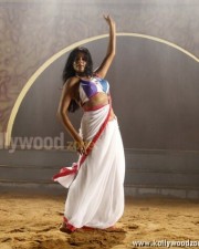 Tikka Movie Heroine Priyamani Hot Stills