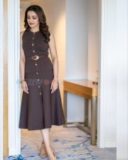 Timeless Actress Trisha Krishnan in a Dark Brown Button Front Midi Dress Photos 04