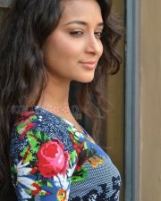 Tollywood Actress Bhanu Sri Pictures