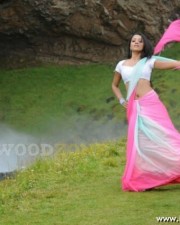 Trisha Hot Pics