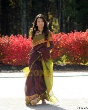 Trisha In Vinnaithandi Varuvaya Stills