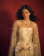 Tu Meri Main Tera Main Tera Tu Meri Actress Ananya Panday in a Strapless Golden Ivory Corset with a Satin Skirt Photos 02
