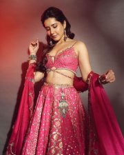 Ustaad Bhagat Singh Heroine Raashii Khanna in a Traditional Pink Dil Ruba Aria Lehenga Set Photos 04