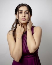 Vattam Actress Nikki Galrani Photoshoot Pictures