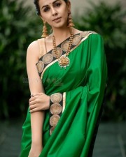 Vattam Heroine Nikki Galrani In Green Saree Photoshoot Stills