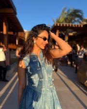 Vivacious Actress Rakul Preet Singh in a Teal Animal Print Bikini With Sarong Photos 05