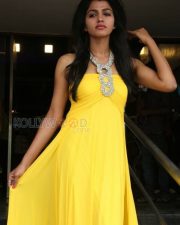 Vizhithiru Heroine Dhansika Photos