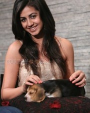 Nikki Galrani 48 Yagavarayinum Naa Kaakka Heroine Nikki Galrani Pictures