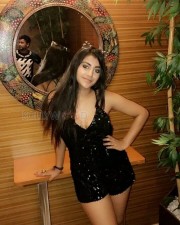 Yashika Aannand (Yaashika Aanand) 16 Yashika Anand Private Party Photos