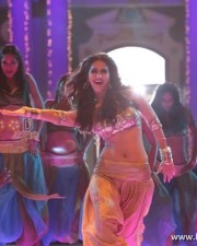 Vaani Kapoor 5 Aaha Kalyanam Vaani Kapoor Photos