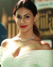 Actress Amyra Dastur At Iifa Utsavam  Photos