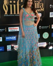 Actress Amyra Dastur At Iifa Utsavam Event Pictures