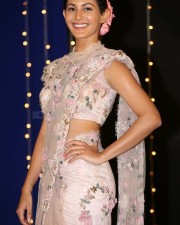 Actress Amyra Dastur At Manasuki Nachhindi Audio Launch Photos
