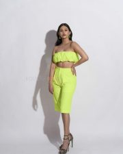 Actress Amyra Dastur Green Dress Photoshoot Stills