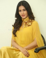Actress Amyra Dastur Interview Photos