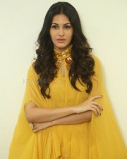 Actress Amyra Dastur Interview Photos