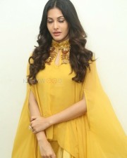 Actress Amyra Dastur Interview Photos